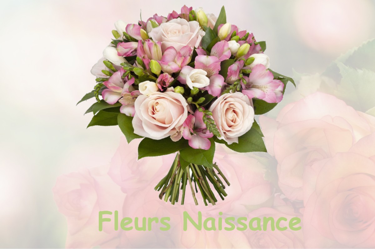 fleurs naissance BONNEFAMILLE