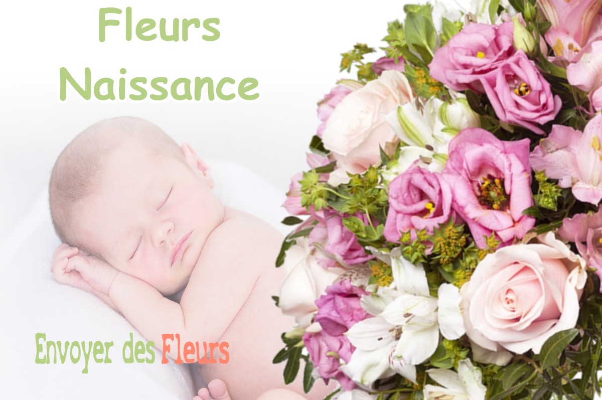 lIVRAISON FLEURS NAISSANCE à BONNEFAMILLE